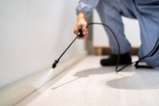 Professional exterminator conducting IPM assessment in Hope Valley