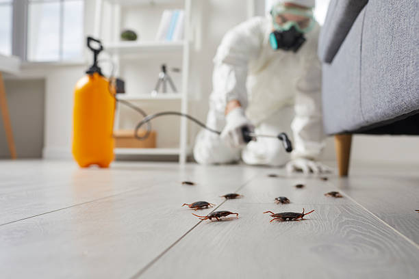 Commercial Kitchen Cockroach Control in Hope Valley